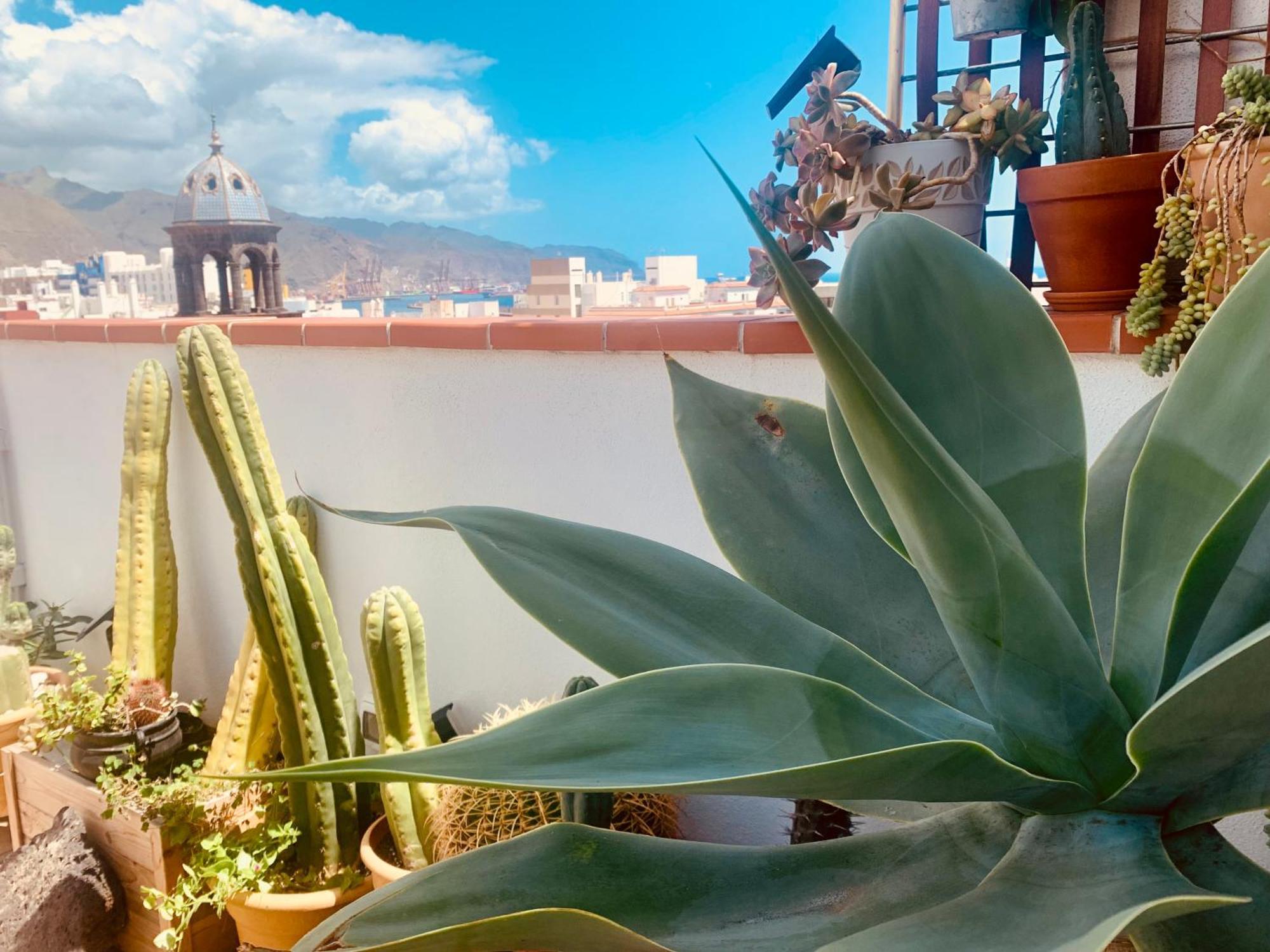 圣克鲁斯-德特内里费Atico Con Terraza, Vistas Panoramicas Y Parking公寓 外观 照片